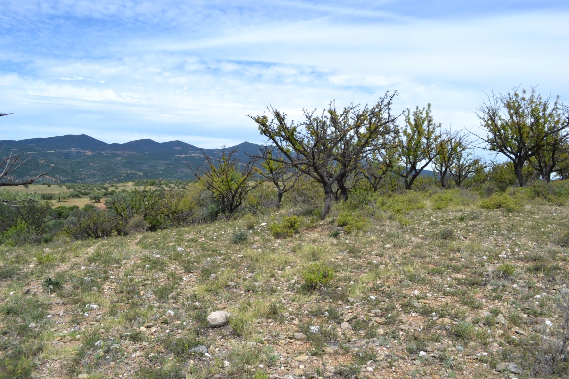 Terreno en Calcídica, Grecia, 20 000 m² - imagen 6
