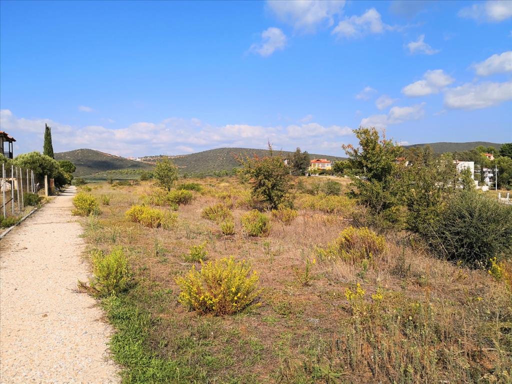 Terreno en Sitonia, Grecia, 30 600 m² - imagen 6
