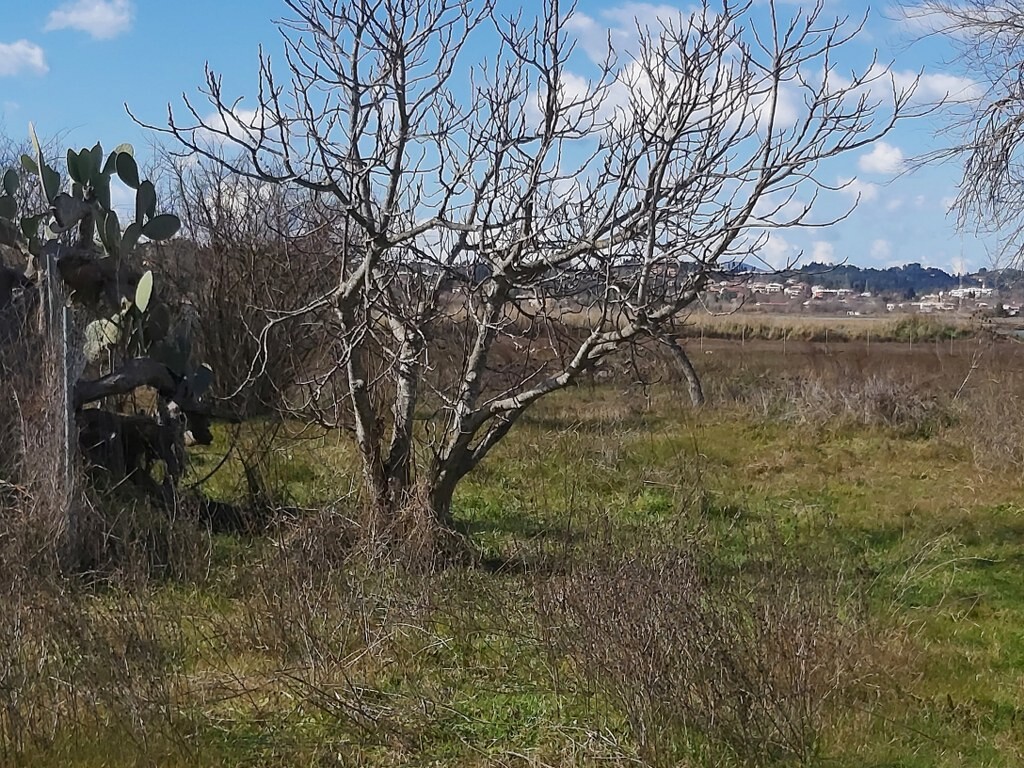 House in Corfu, Greece, 58 m² - picture 6