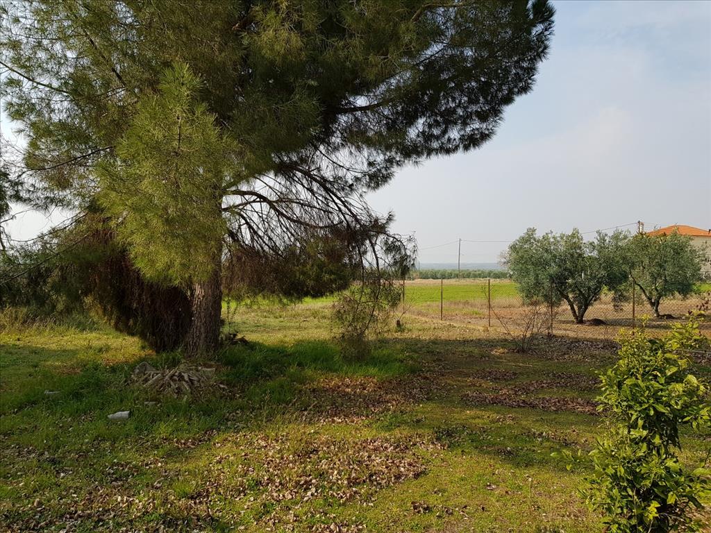 House in Sithonia, Greece, 190 m² - picture 6