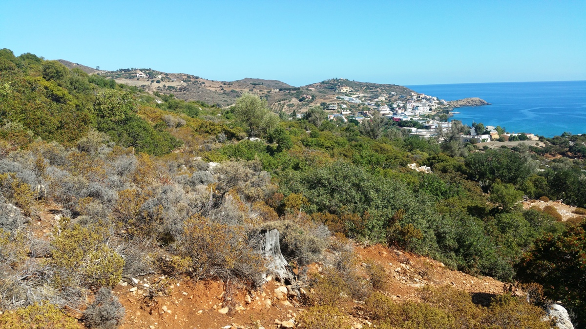 Land in Heraklion, Greece, 15 000 m² - picture 7