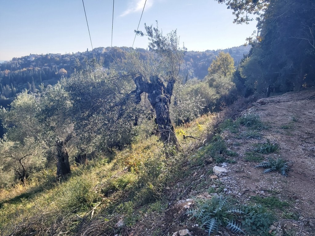 Grundstück in Korfu, Griechenland, 2 767 m² - Foto 7