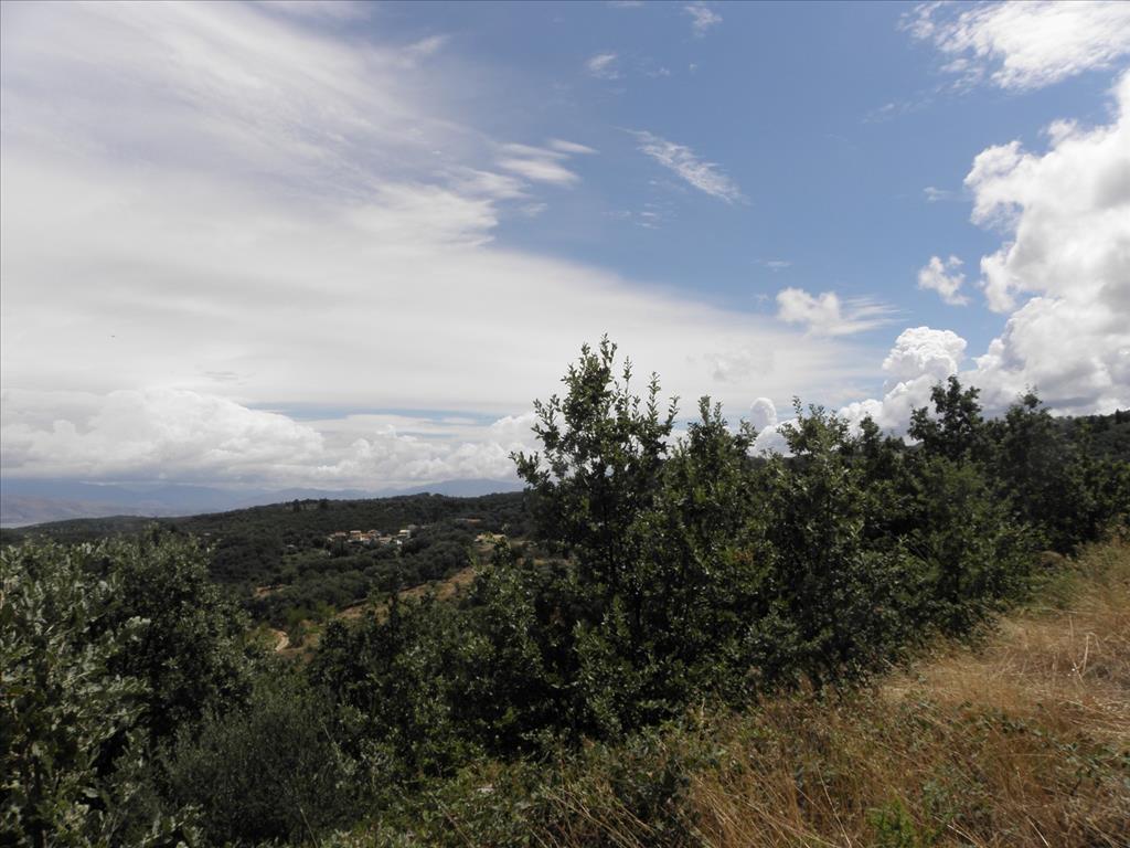 Terreno a Corfù, Grecia, 15 000 m2 - foto 7