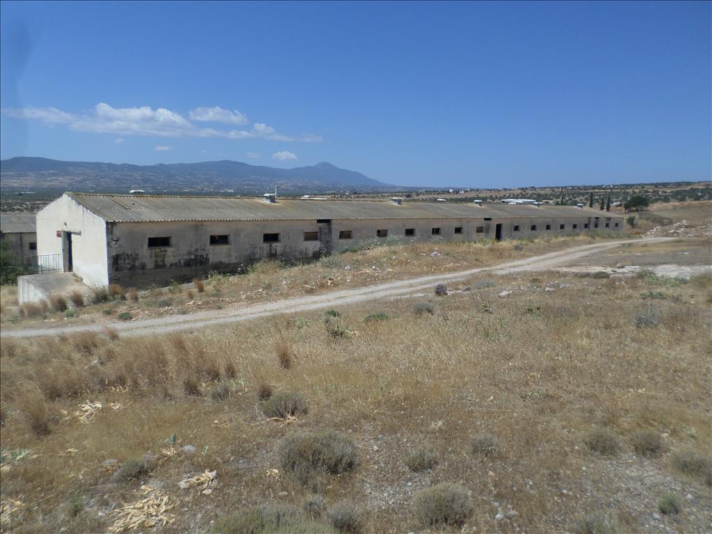 Terreno en Atenas, Grecia, 22 000 m² - imagen 7