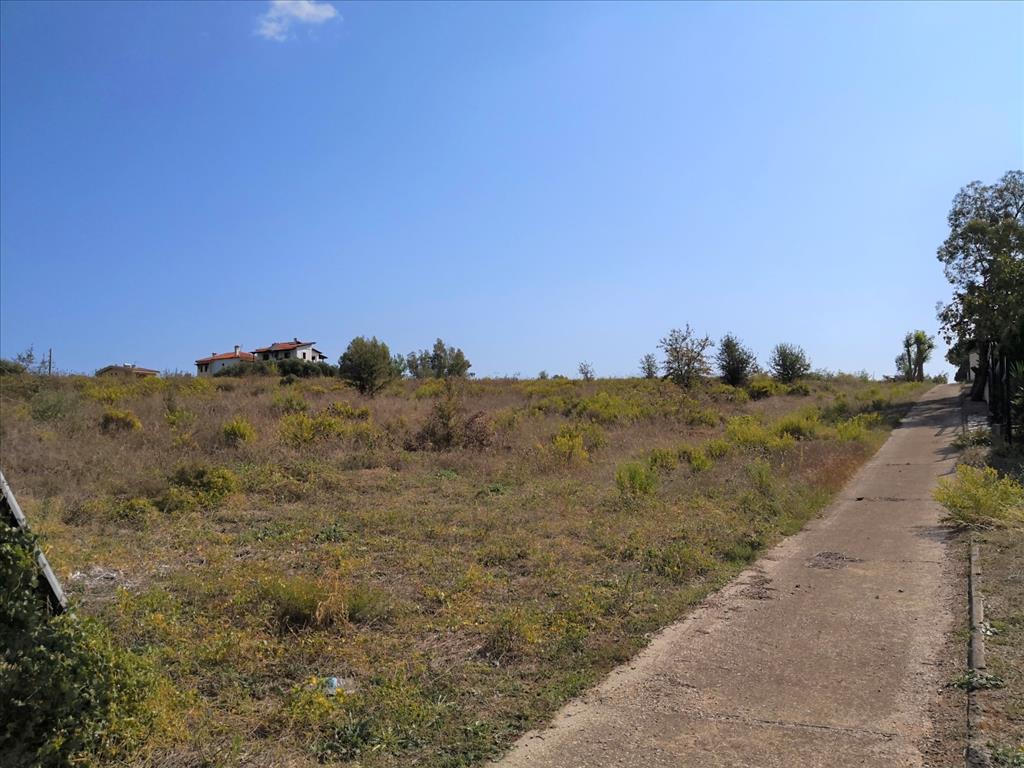 Terreno en Sitonia, Grecia, 30 600 m² - imagen 7