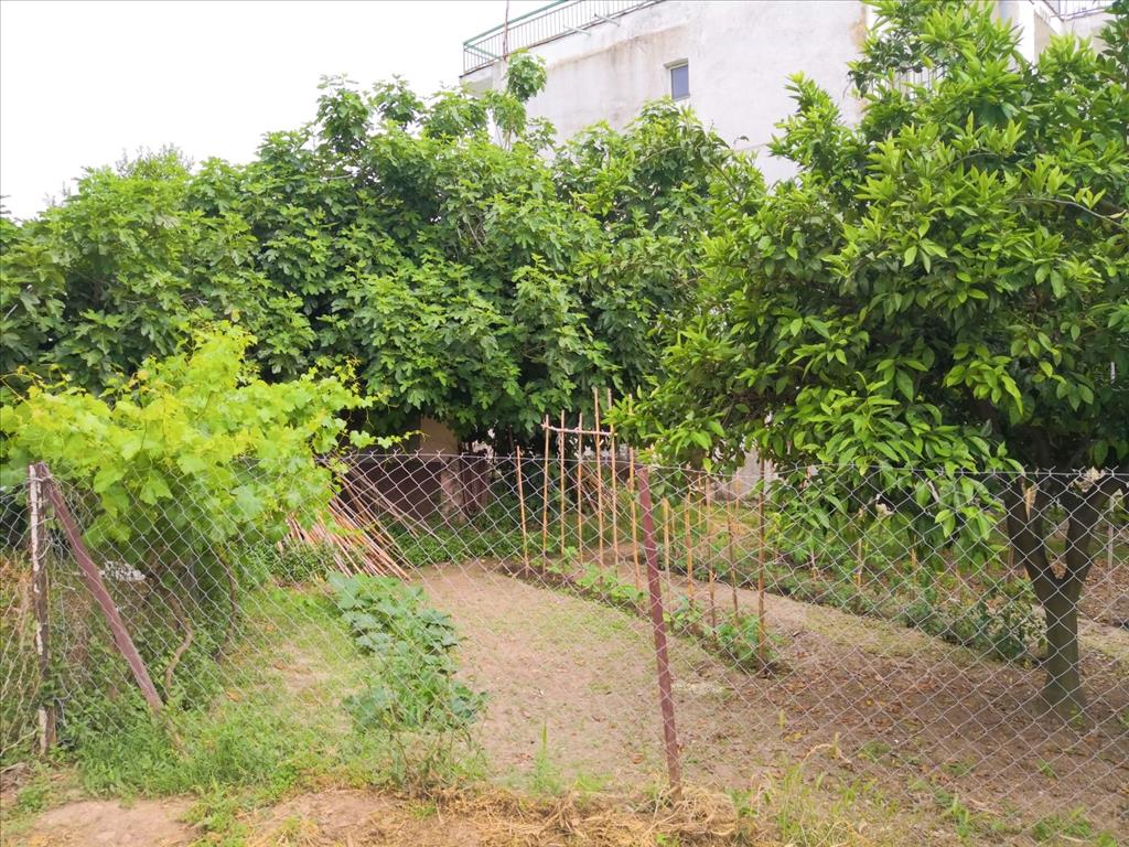 House in Sithonia, Greece, 400 m² - picture 7