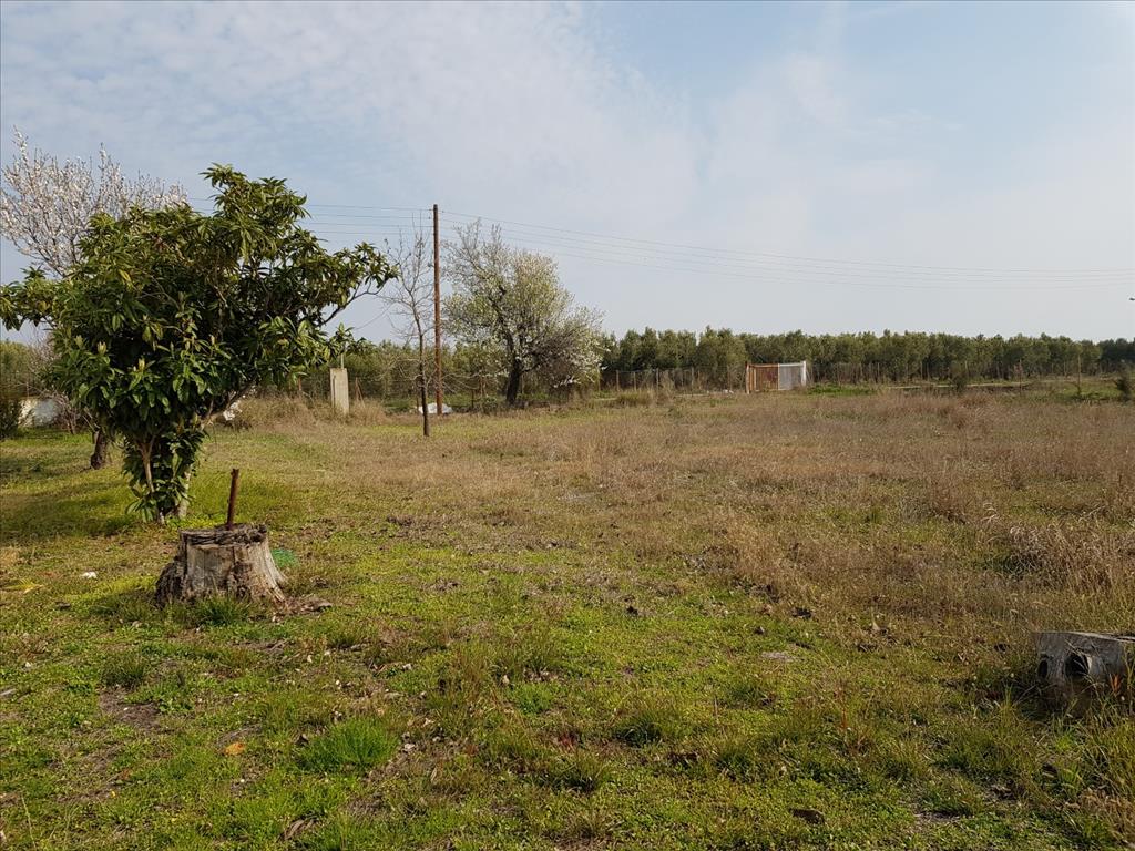 House in Sithonia, Greece, 190 m² - picture 7