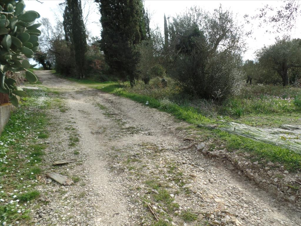 Terreno en Corfú, Grecia, 35 000 m² - imagen 7