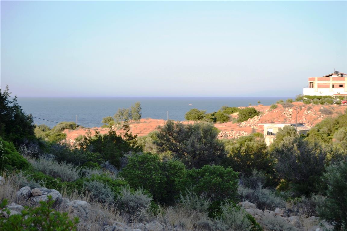 Terreno a Heraklion, Grecia, 10 270 m2 - foto 8