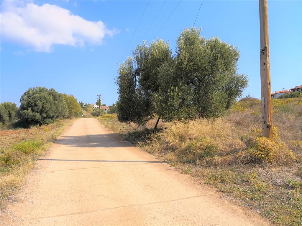 Terreno en Sitonia, Grecia, 30 600 m² - imagen 8