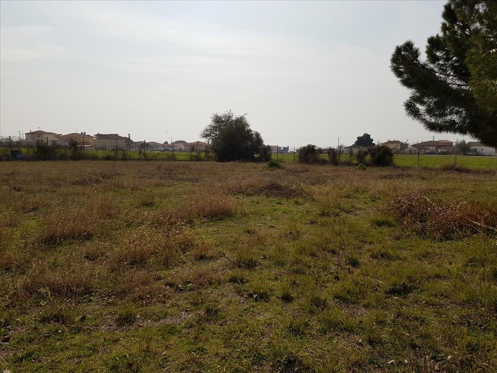 House in Sithonia, Greece, 190 m² - picture 8