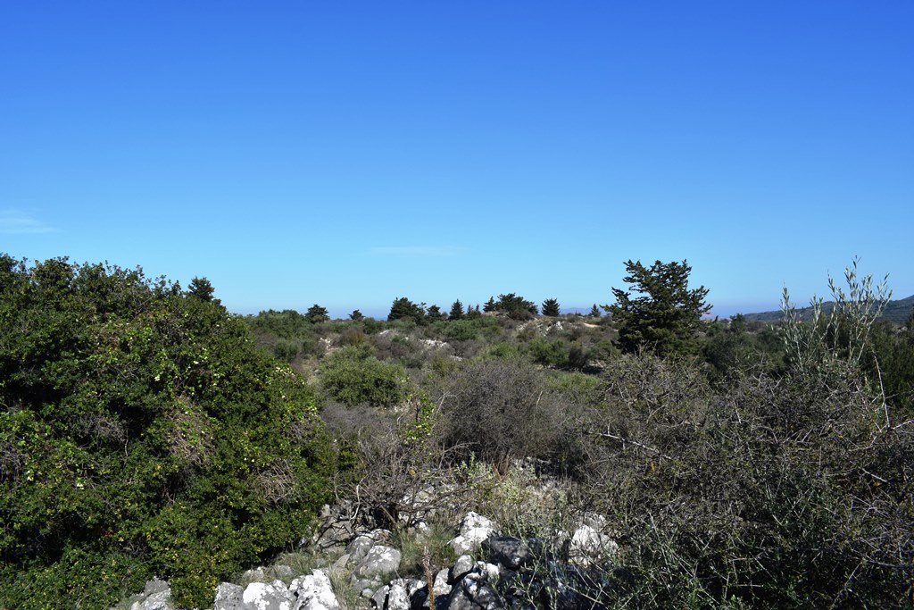 Terrain à Héraklion, Grèce, 13 000 m² - image 8