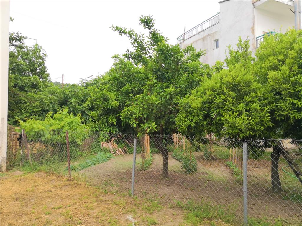 House in Sithonia, Greece, 400 m² - picture 8