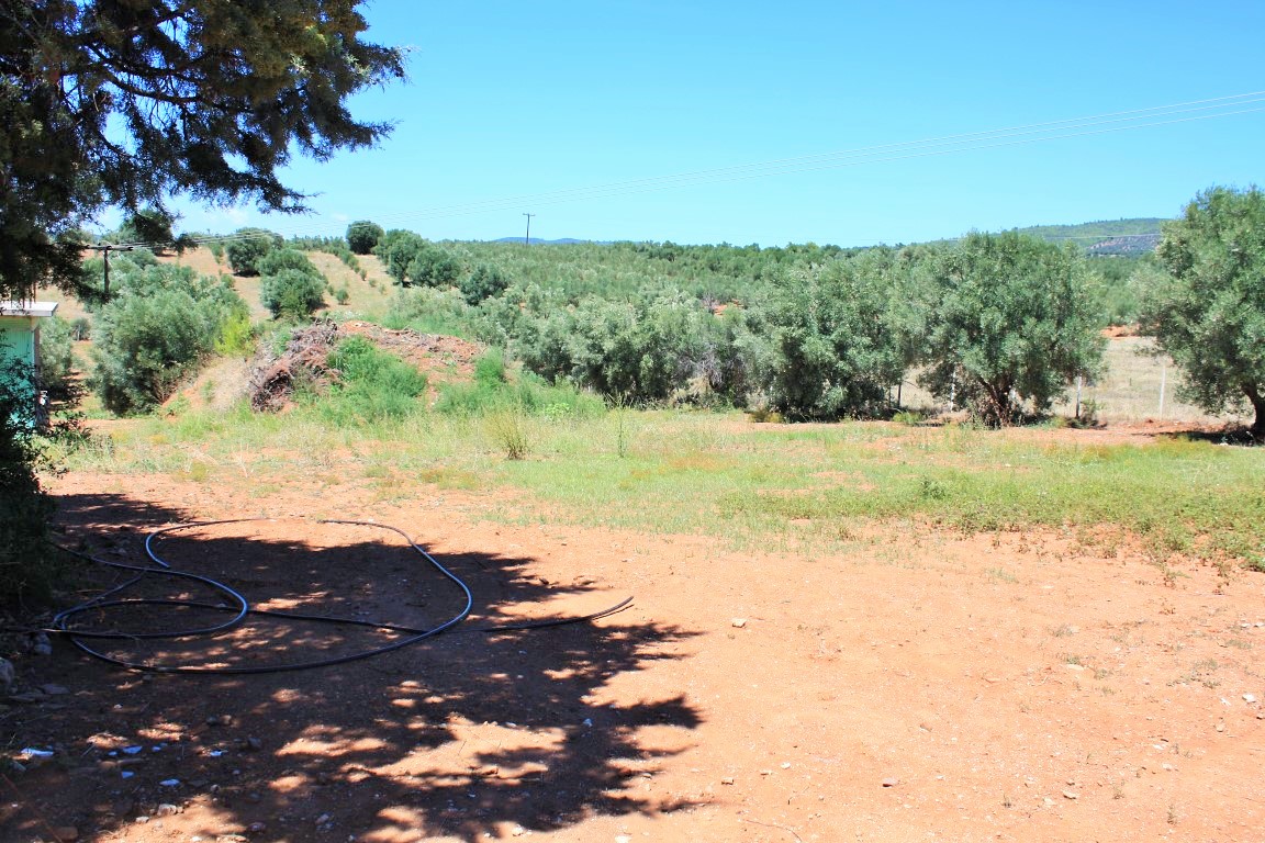 Land in Sithonia, Greece, 4 000 m² - picture 8