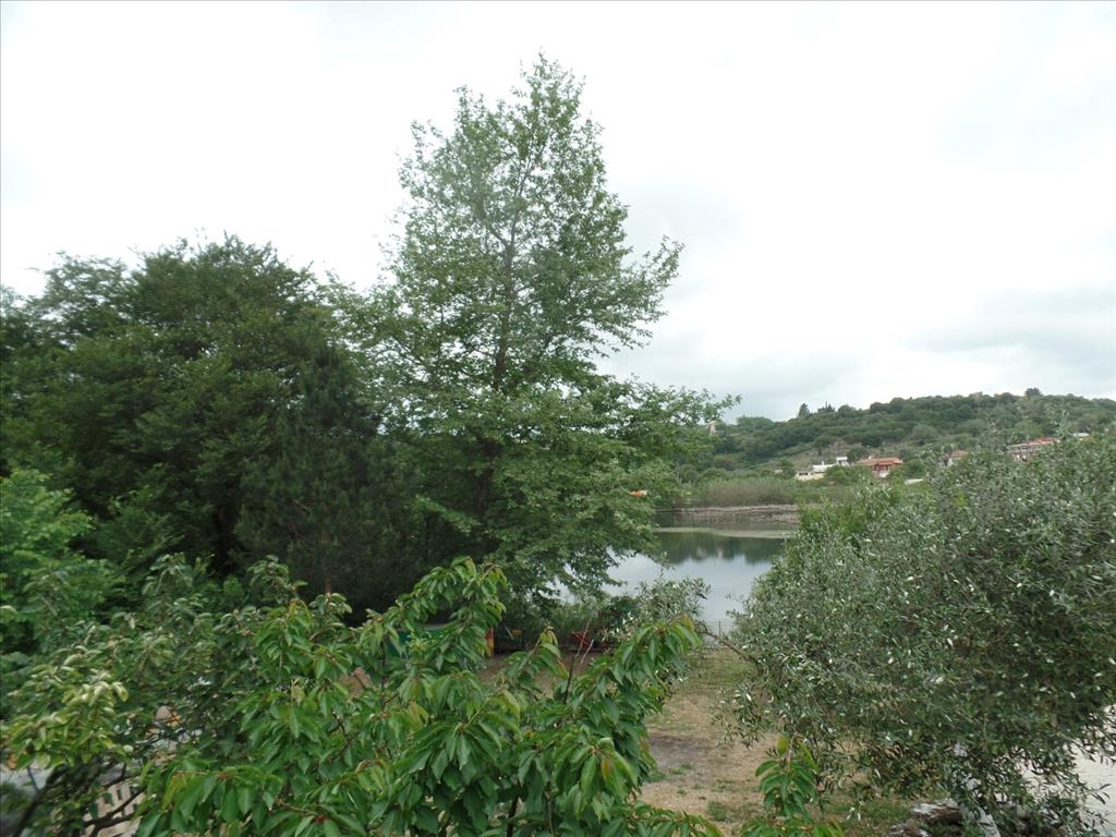 Land in Corfu, Greece, 15 000 m² - picture 8