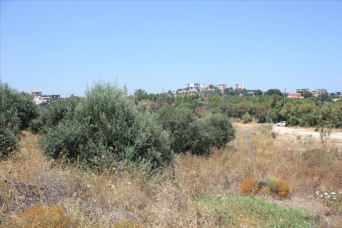 Land in Heraklion, Greece, 6 340 m² - picture 8