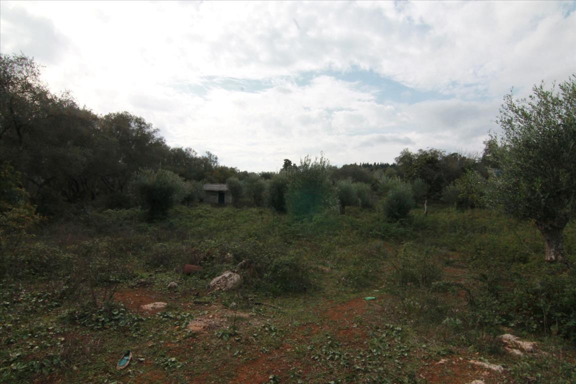 Terrain à Corfou, Grèce, 6 500 m² - image 9
