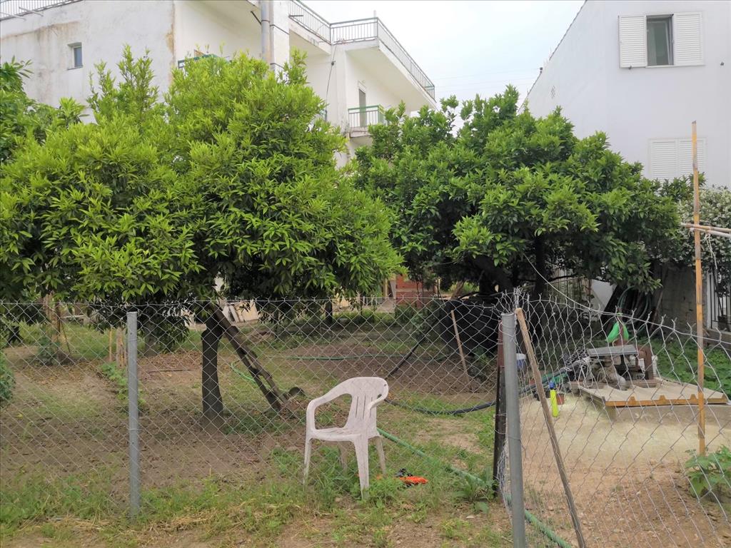 House in Sithonia, Greece, 400 m² - picture 9