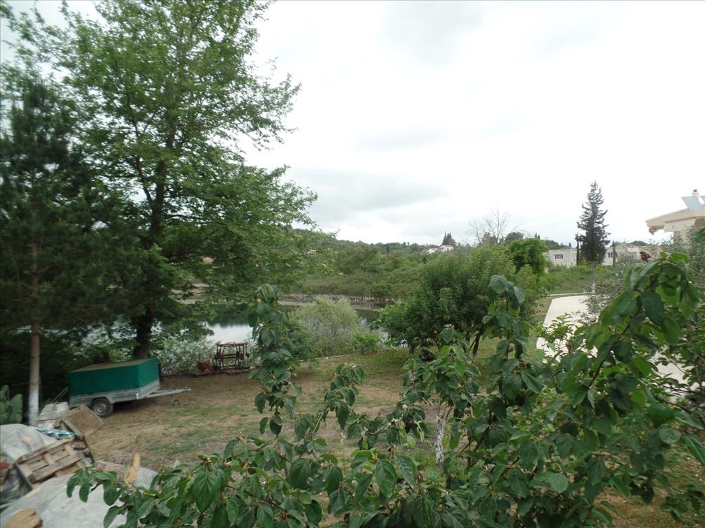 Land in Corfu, Greece, 15 000 m² - picture 9