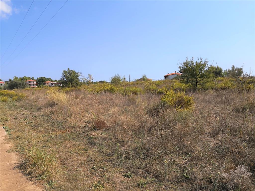 Terreno en Sitonia, Grecia, 30 600 m² - imagen 9