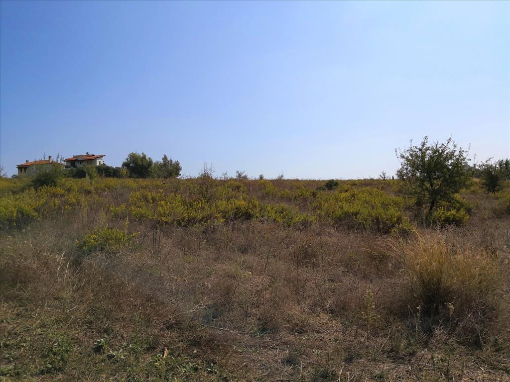 Terreno en Sitonia, Grecia, 30 600 m² - imagen 10