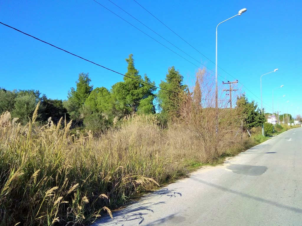 Terrain en Sithonie, Grèce, 36 000 m² - image 10