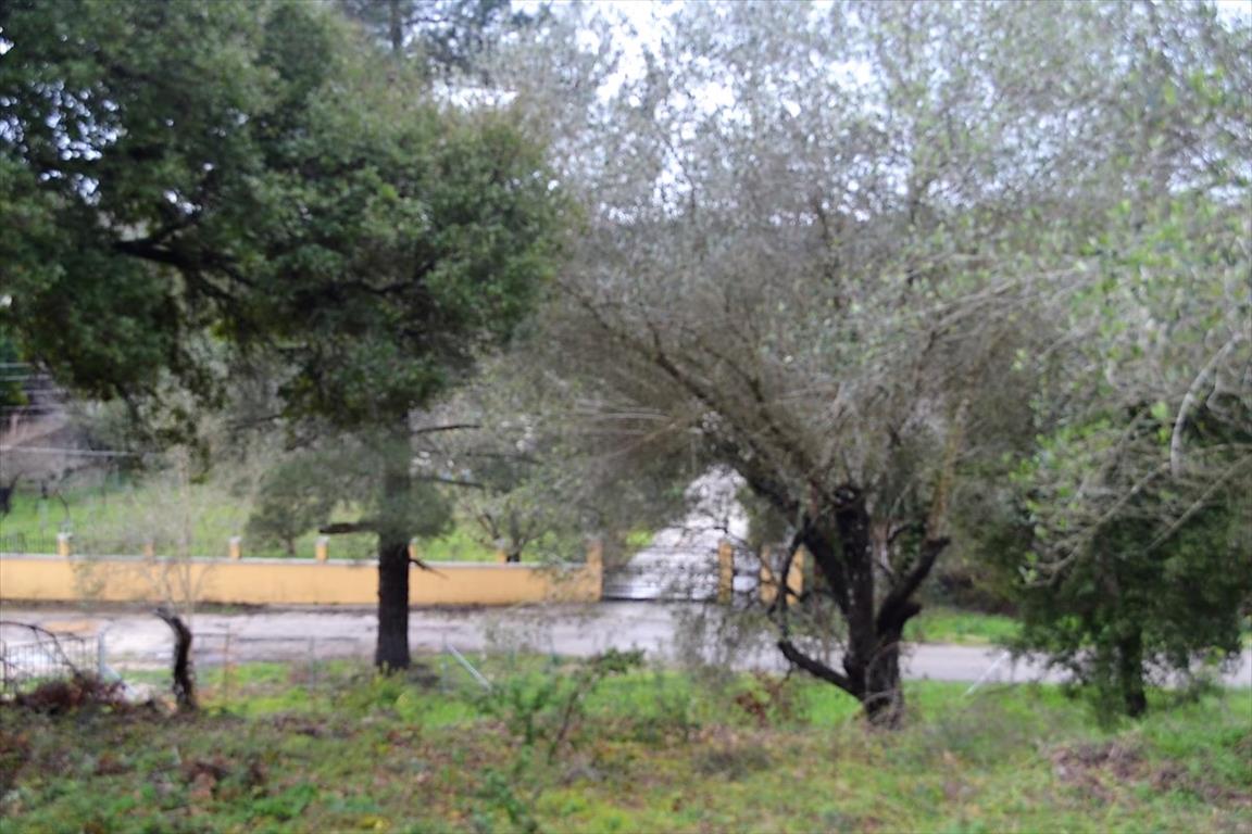 Terreno en Corfú, Grecia, 5 200 m² - imagen 10