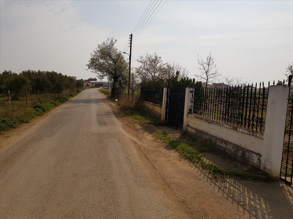 House in Sithonia, Greece, 190 m² - picture 10