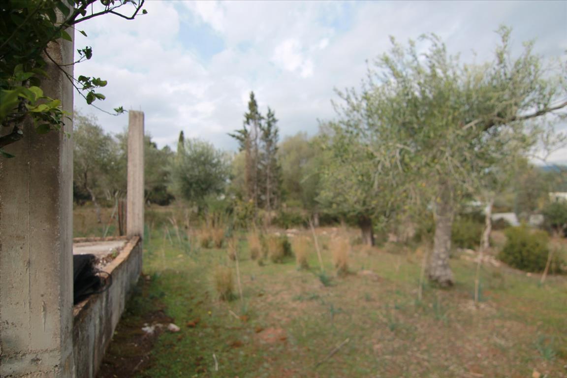 Terrain à Corfou, Grèce, 6 500 m² - image 10