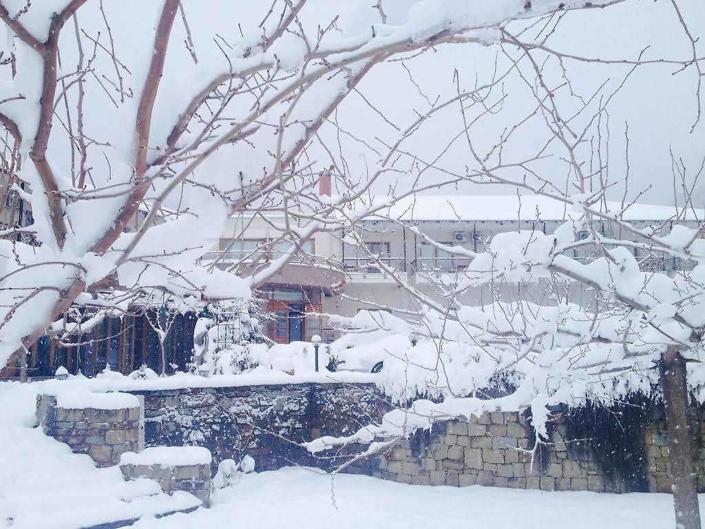 Hotel en Florina, Grecia, 4 500 m² - imagen 12