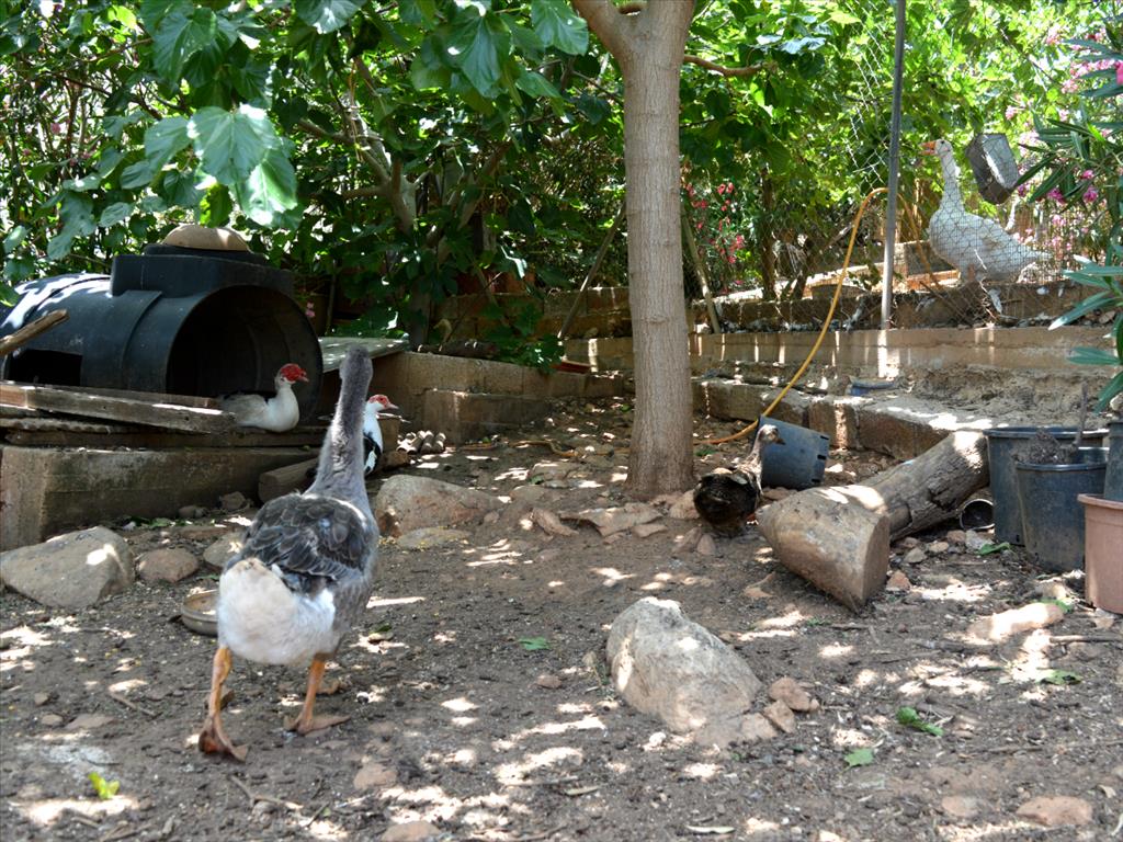 Casa en Ática, Grecia, 93 m² - imagen 10