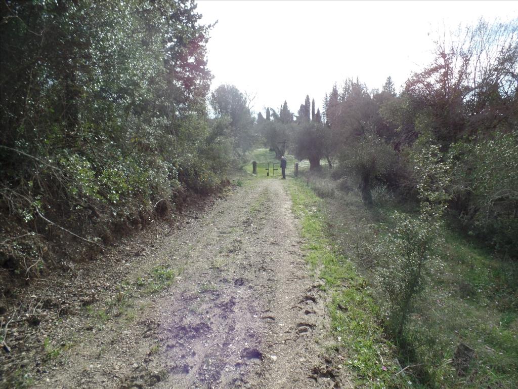 Terreno en Corfú, Grecia, 35 000 m² - imagen 10