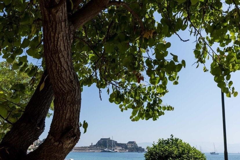 Wohnung in Korfu, Griechenland, 77 m² - Foto 8