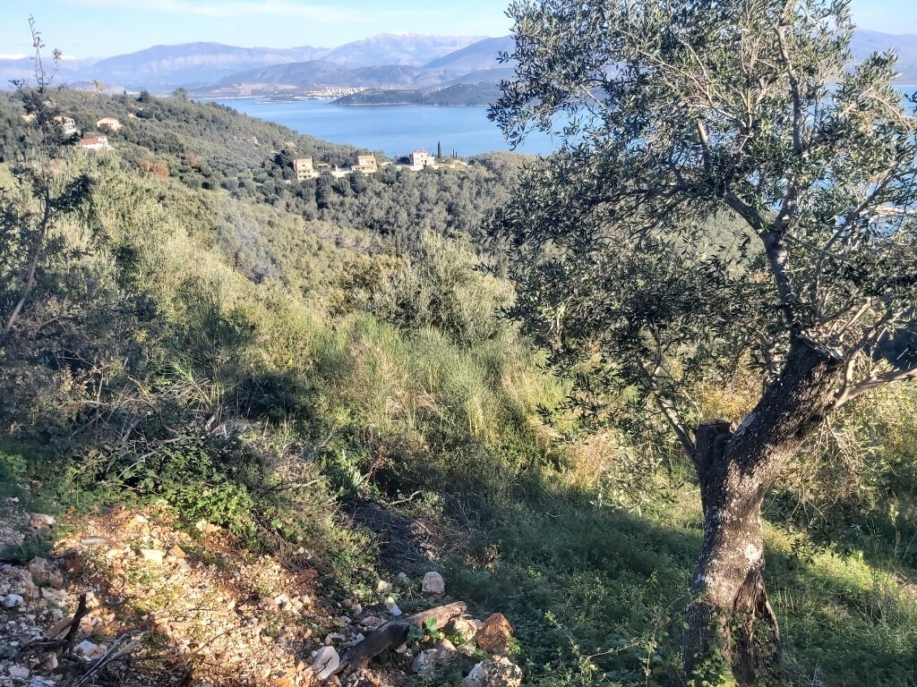 Grundstück in Korfu, Griechenland, 2 767 m² - Foto 10