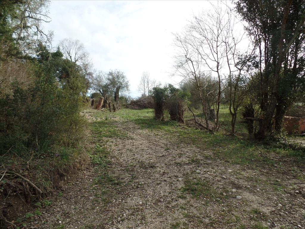 Terreno en Corfú, Grecia, 35 000 m² - imagen 11