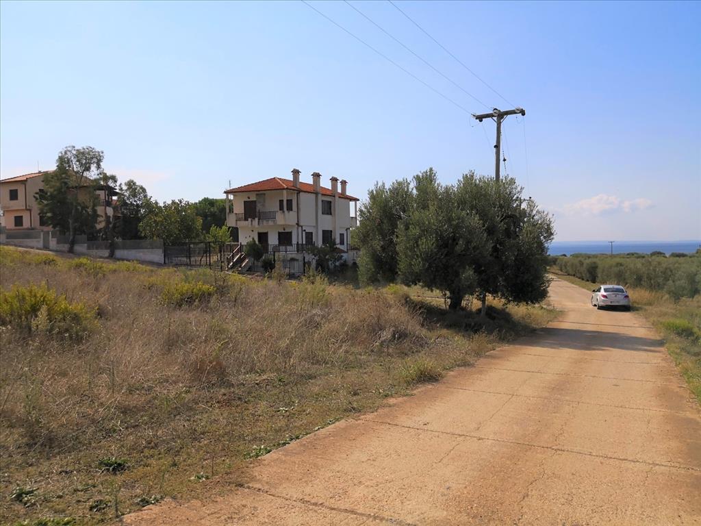 Terreno en Sitonia, Grecia, 30 600 m² - imagen 11
