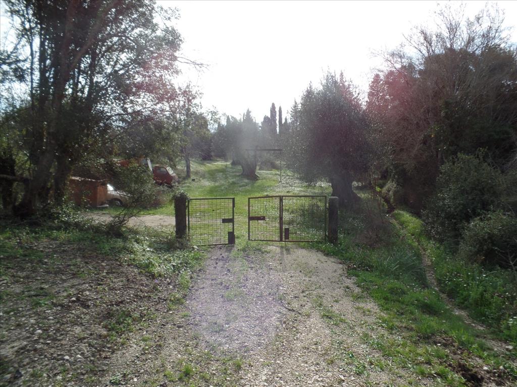 Terreno en Corfú, Grecia, 35 000 m² - imagen 12