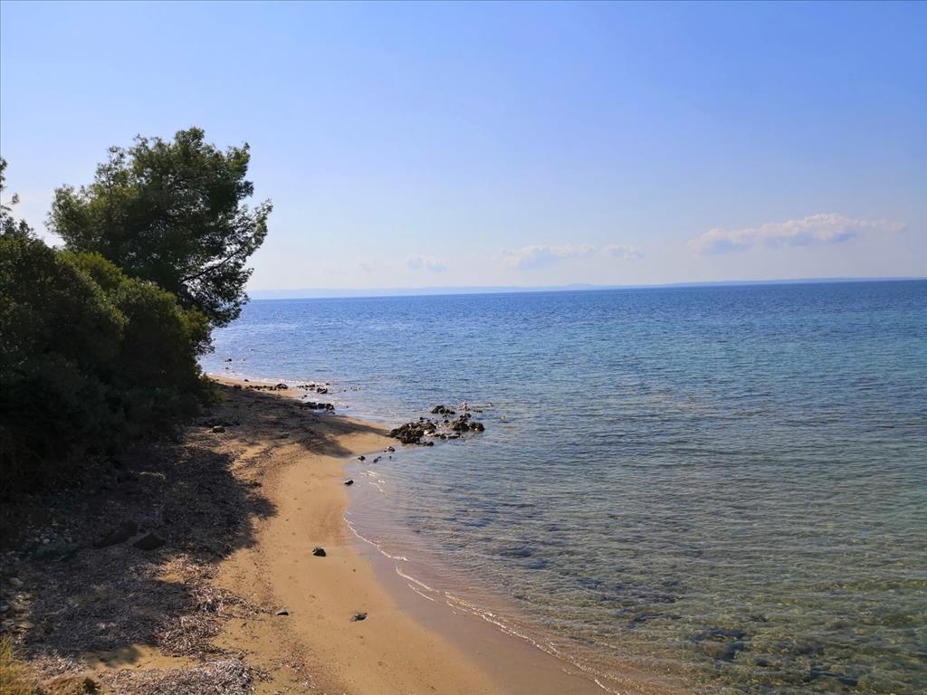 Terreno en Sitonia, Grecia, 30 600 m² - imagen 12