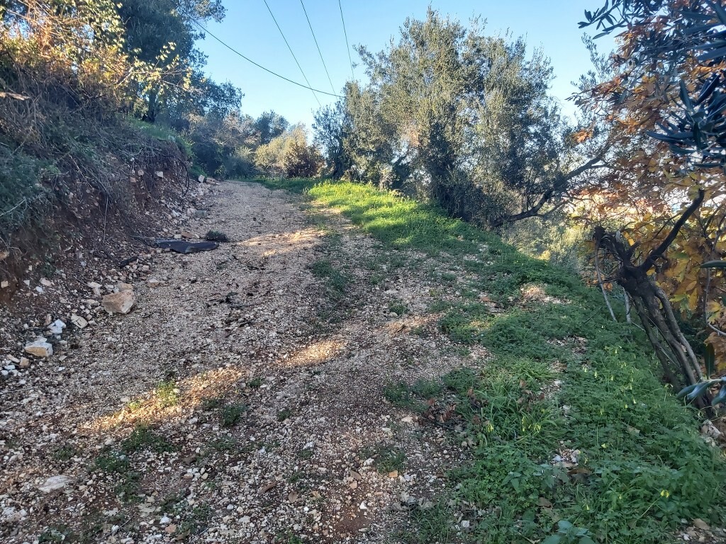 Grundstück in Korfu, Griechenland, 2 767 m² - Foto 12