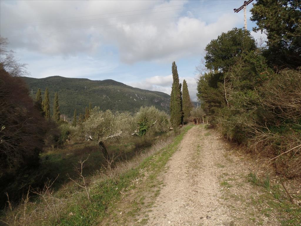 Terreno en Corfú, Grecia, 35 000 m² - imagen 13