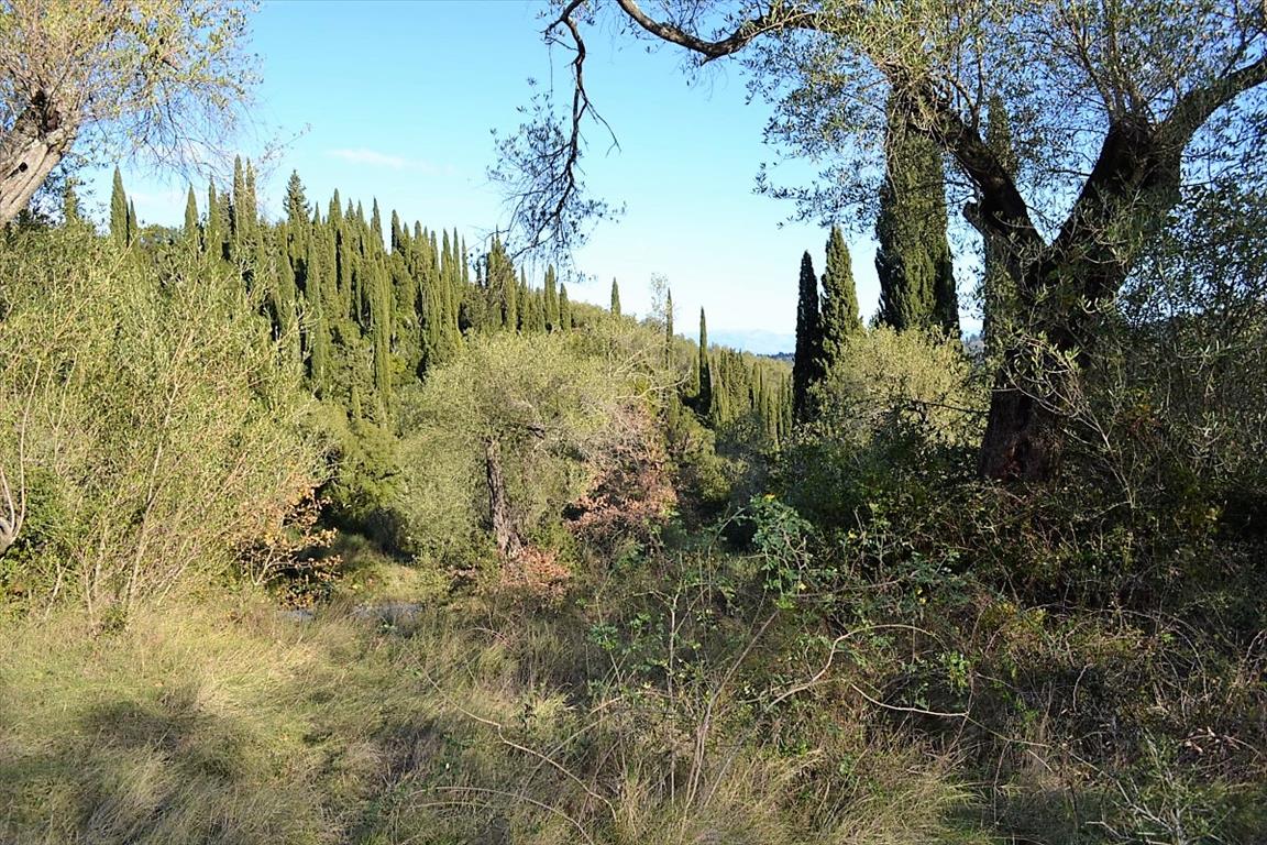 Terreno a Corfù, Grecia, 8 000 m2 - foto 13