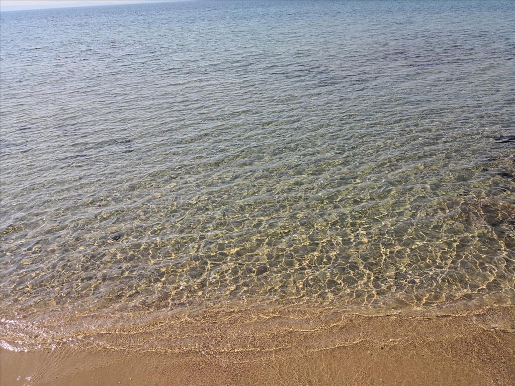 Terreno en Sitonia, Grecia, 30 600 m² - imagen 13