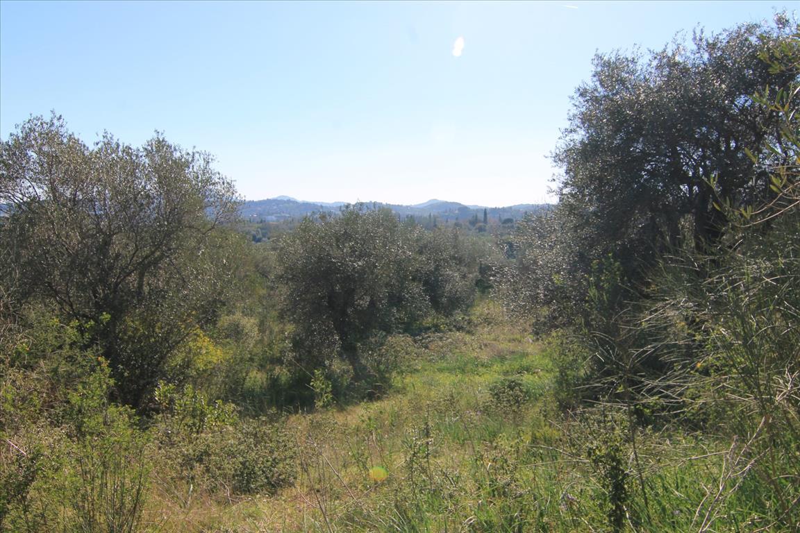 Terreno en Corfú, Grecia, 4 131 m² - imagen 13