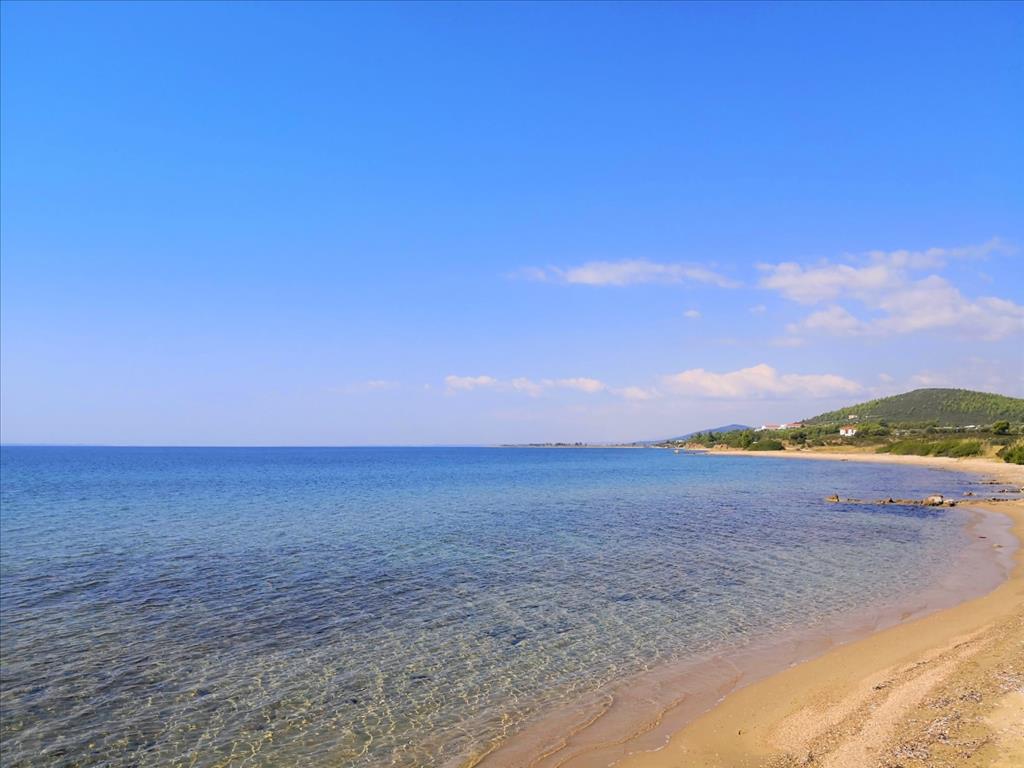 Terreno en Sitonia, Grecia, 30 600 m² - imagen 14