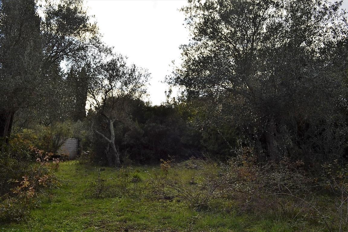 Terreno a Corfù, Grecia, 20 000 m2 - foto 14