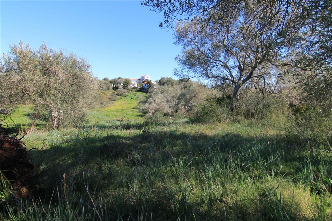 Terreno en Corfú, Grecia, 4 131 m² - imagen 14