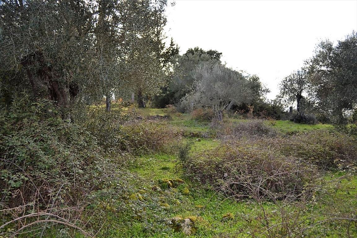 Terreno a Corfù, Grecia, 20 000 m2 - foto 15