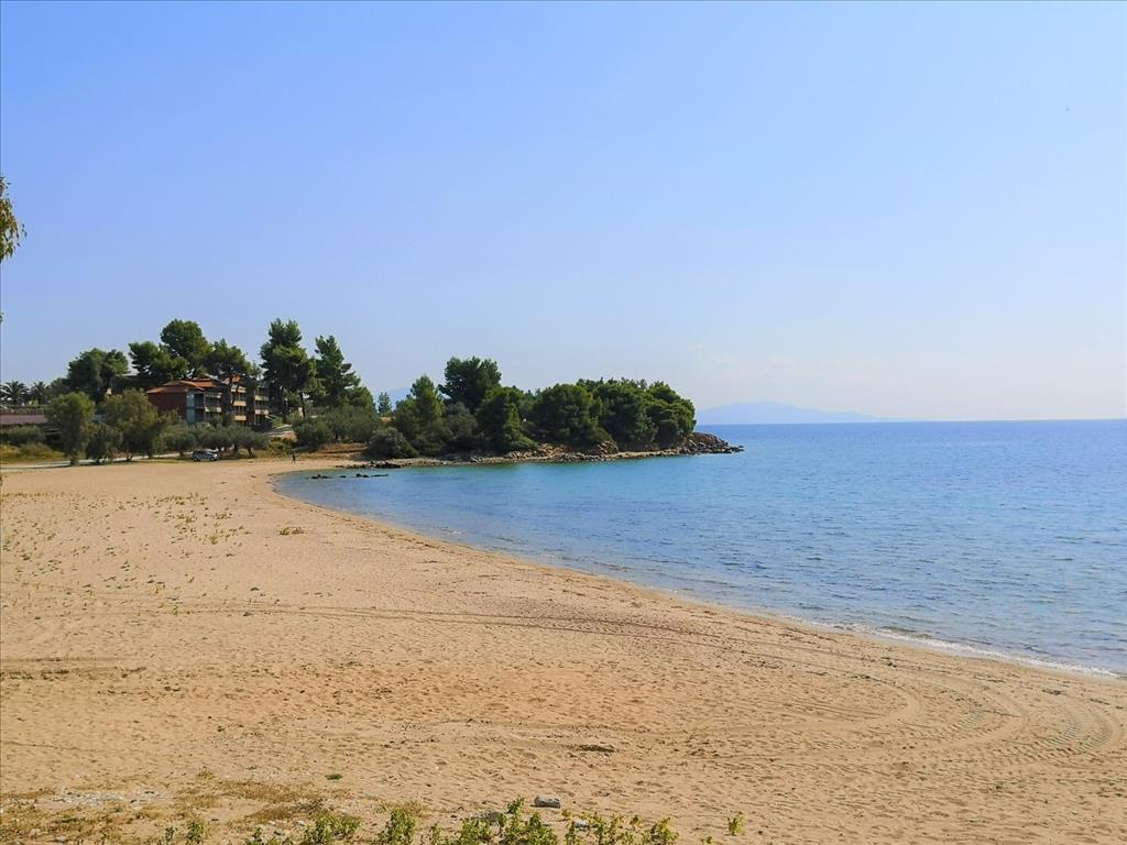 Terreno en Sitonia, Grecia, 30 600 m² - imagen 15