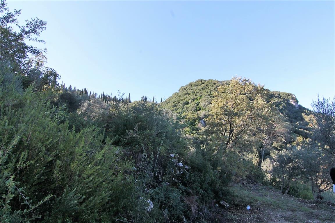 Land in Corfu, Greece, 9 000 m² - picture 17