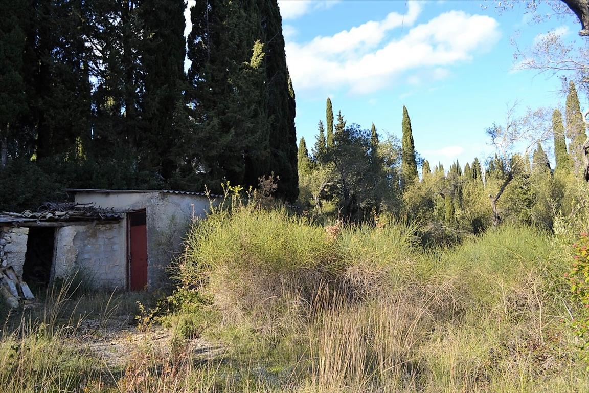 Terreno a Corfù, Grecia, 8 000 m2 - foto 17